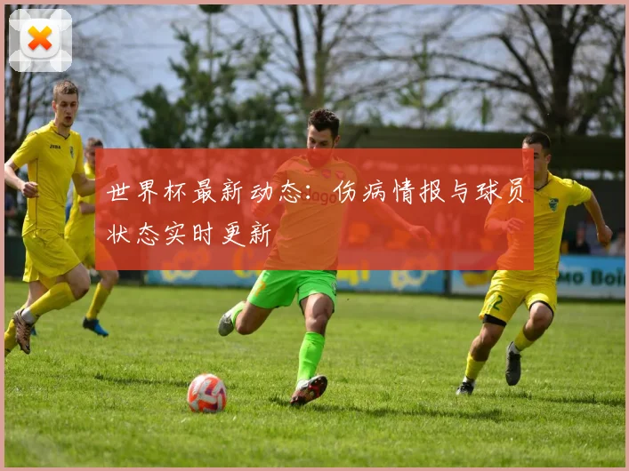 世界杯最新动态:伤病情报与球员状态实时更新